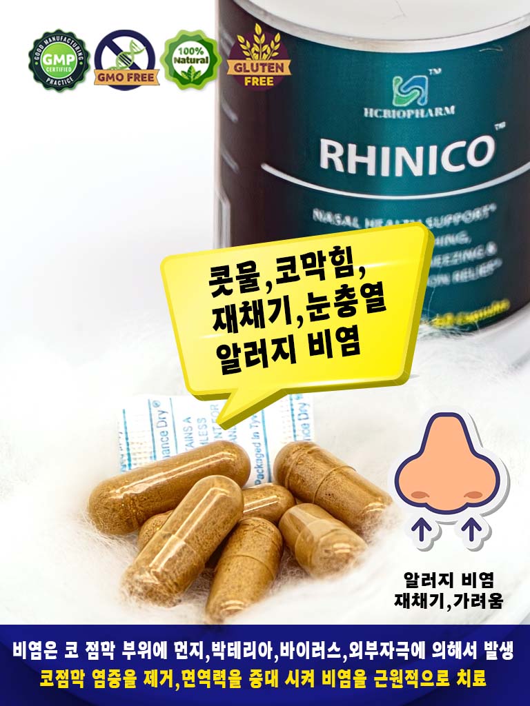 리나이코 (Rhinico)